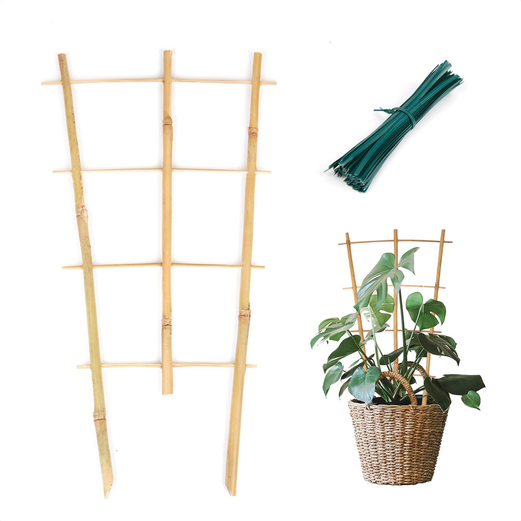Cambaverd Plant Trellis Indoor, 16in Bamboo Trellises, 6 Pack Small Trellis