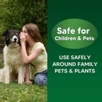 pzwmmsse Deer Repellent Outdoor, Rabbits Repellent for Garden, Bunny Repellent, Deer Deterrent for Plants, Keeps Deer & Rabbit Away from Yard, Lasting for 2 Months, Safe for Humans & Pets-8 Pack