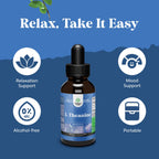 High Absorption L-Theanine Liquid Drops - Nootropic Focus Supplement with L Theanine 200mg Per Serving and Chamomile Extract Supplement for Adults and Kids Relaxation and Focus - 2 Fl Oz