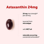 Micro Ingredients Astaxanthin 24mg with MCT Oil, 90 Softgels | Max Strength Astaxanthin Antioxidant Supplements* | Fresh Microalgae Source | Non-GMO, Gluten Free, No Soy