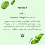 Method Glass Cleaner,Mint,28 Ounce,Packaging May Vary,(Pack of 8)