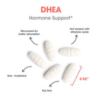 Allergy Research Group ARG DHEA 25 Micronized Lipid Matrix - Supports Hormone Balance & Brain Function - Delivers 25 mg DHEA - Micronized & Plant Sourced - Hypoallergenic - 60 Servings - 60 Capsules