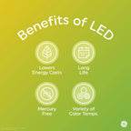 GE Refresh A19 LED Light Bulbs, Daylight, 60W Eqv, 4 Pack