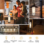 T10 Edison LED Tube Bulbs - Warm White, 2700K, Dimmable - Vintage Style, 4W Equivalent to 40W Incandescent, E26 Base, 3 Pack for Pendant Lights & Desk Lamps