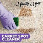 Mighty Mint Carpet Spot Cleaner, Non-Toxic Spray to Remove Carpet Stains Instantly, Natural Peppermint Scent, 16oz