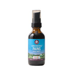 WishGarden Herbs Growing Pains Ache Away for Kids, Organic Herbal Tincture with Turmeric & Willow Bark, Natural Muscle Relaxer & Leg Cramp Relief, Calms with Chamomile & Skullcap, Liquid Drops, 2oz