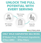 NUTRALAVA Sea Moss Capsules - Irish Sea Moss Black Seed Oil Ashwagandha - Immune Thyroid Joint & Gut Support - Gluten-Free Non-GMO GMP - 60 Count