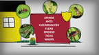 Compare-N-Save Concentrate Indoor & Outdoor Insect Control, 32 oz, Model Number: 75366