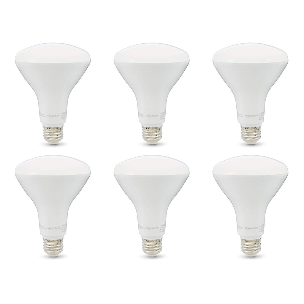 Amazon Basics 65W Equivalent, Daylight, Dimmable, 10,000 Hour Lifetime, BR30 LED Light Bulb | 2-Pack