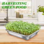 Picowe Stainless Steel Sprouting Trays Seed Sprouting Kit with Stainless Steel Mesh Tray Seed Starter Tray Seed Sprouting Kit (3pack, 10.4 x 7.7inch)