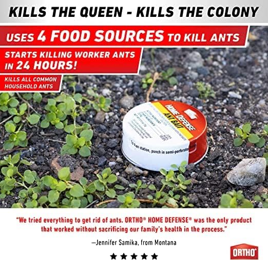 Ant Traps Indoor by ORTHO Home Defense 10pk- Metallic & Adhesive Ant Killer Indoor & Ant Killer Outdoor - Ant Trap & Ant Bait Traps Indoor Ant Killer - Ant Traps Outdoor,Ant Bait Outdoor