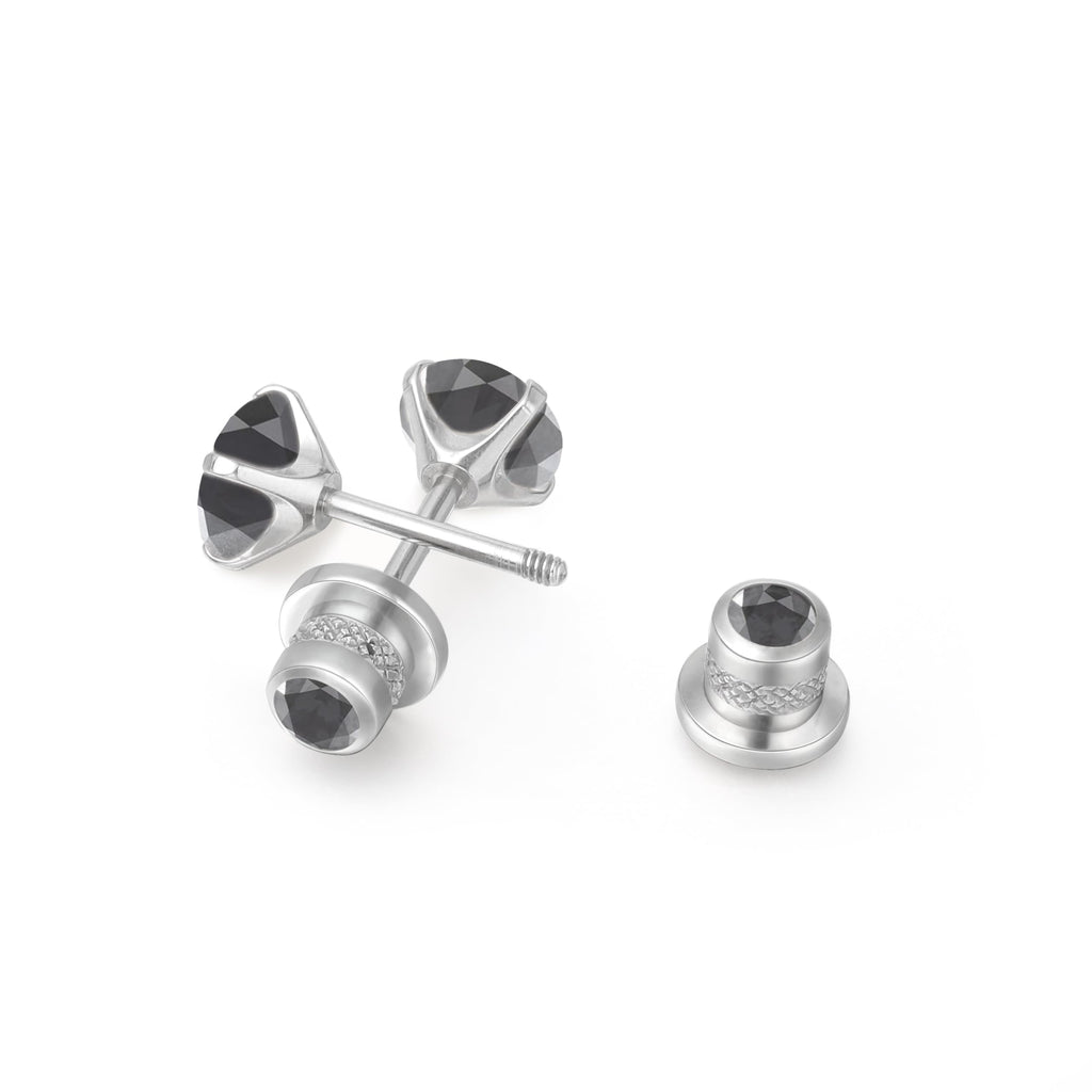 Limerencia Hypoallergenic G23 Implant Grade Titanium Screw Back Earrings