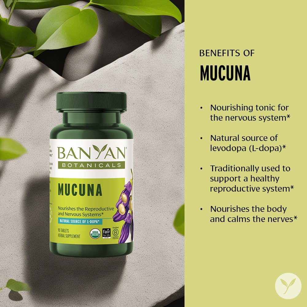 Banyan Botanicals Organic Mucuna Pruriens – Physical Vitality & Neuromuscular Support – Natural Source of L-Dopa for Reproductive Health & Motor Precision – 90 Tablets – USDA Organic