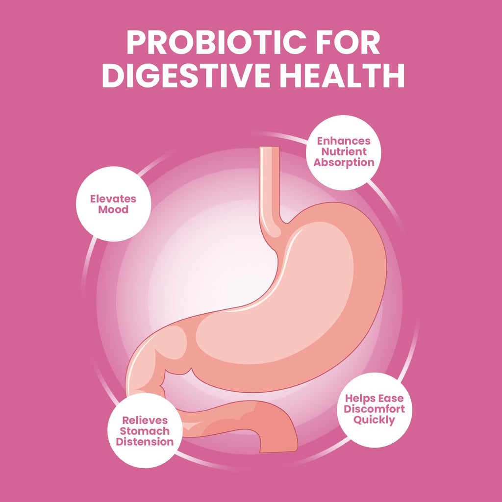 FemiPro Supplement - Probiotic Femi Pro Pills, FemiPro 24 Hour Support Microbiome Probiotic Urinary Control Health, Femie Pro Reviews (5 Pack - 300 Capsules)