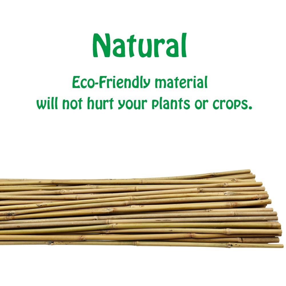 Mininfa Natural Bamboo Stakes 6 Feet, Eco-Friendly Garden Stakes, Plant Stakes Supports Climbing for Tomatoes, Trees, Beans, 20 Pack