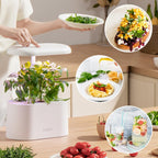 inbloom Hydroponics Herb Seed Pod Kit for AeroGarden, iDoo, Ahopegarden, GARDENCUBE, 7 Pods (350+ Herb Seeds with Basil, Parsley, Mint, Cilantro, Savory, Thyme and Oregano)