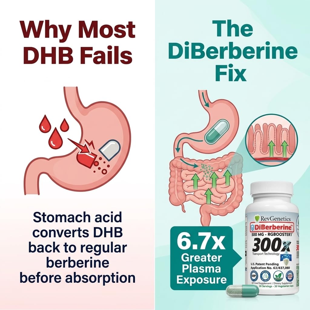 REVGENETICS Berberine Supplement 500mg, Dihydroberberine DHB Enteric Coated Capsules, Healthy Metabolism & AMPK Support, 6.7X Absorption, 1 Daily, Made in USA, 30 Ct, DiBerberine 300x