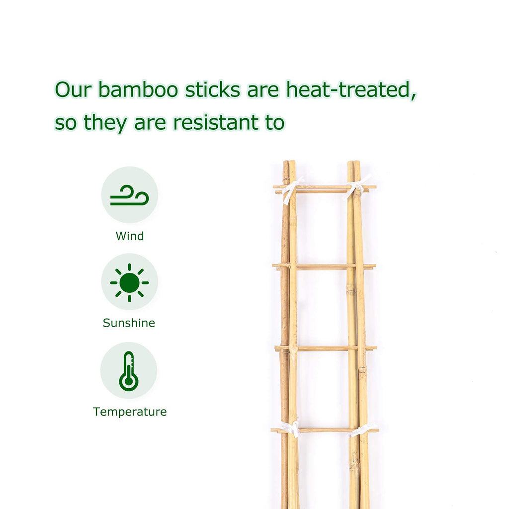 Cambaverd Indoor Plant Trellis, 24in Ladder-Shaped Bamboo Trellis 3 Pack