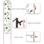 2 Pack Metal Garden Trellis for Climbing Plants