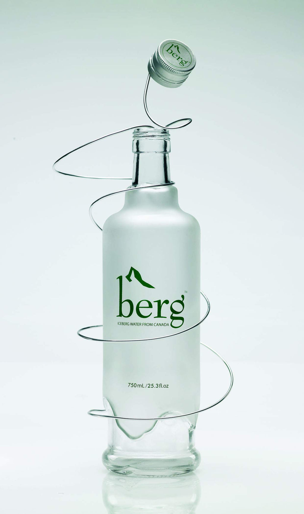 Berg Water, Sourced from Icebergs, 25.36oz (One 750ml Glass Bottle)