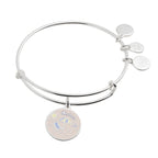 Alex and Ani Happy Retirement' Charm Bangle