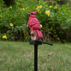 Cardinal Garden Decor Red Bird Figurine Memorial Solar Light Outdoor Stake