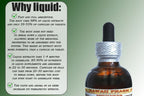 Anise Liquid Extract, Organic Anise (Pimpinella Anisum) Seed Tincture 2x2 oz