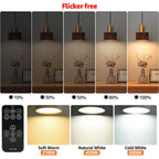 BLUEYE Rechargeable Light Bulbs,2Pack,10W,Remote Control,Soft Warm 2700K-6000K,50W Equivalent,450Lumens,E26 Detachable Charging,Battery Operated Emergency Lamp for No Outlet