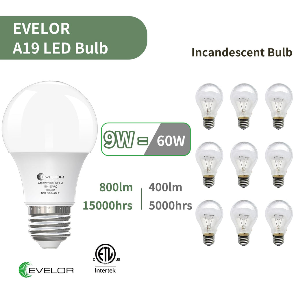 evelor A19 LED Light Bulbs,60 Watt Equivalent,Soft White 2700K,4-Pack