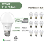 evelor A19 LED Light Bulbs,60 Watt Equivalent,Soft White 2700K,4-Pack