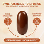 LIRAE Ceylon Cinnamon Ceylon Cinnamon Soft Gels Equivalent with Mct Oil, Highly Bioavailable Herbal Extract | Non-GMO, Gluten Free | 300 Softgel (2)