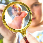 20X HD Magnifying Glass (Full Size-90mm) for Desktop, Collectors, Youth and The Elderly. Free Bonus, (3) Credit Card Sized Magnifiers for Shopping or dosing Medicine ($3.96 Value).
