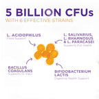 Probiotic Gummies 5 Billion CFU per Serving - Advanced Multi-Strain Probiotic Formula - Immune, Gut, & Digestive Health Support Gummy for Women, Men, Kids - Daily Probiotics Supplement - 120 Gummies