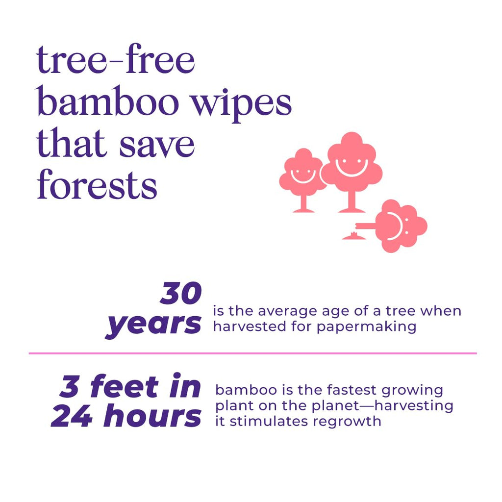 Bim Bam Boo | Flushable Wet Wipes | 100% Plant Based | Extra-Large Size Durable Bamboo | Body Safe, Smooth on Skin, Hypoallergenic | 42 Wipes Per Pouch - 8 Pouches | 366 Total Wipes