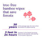 Bim Bam Boo | Flushable Wet Wipes | 100% Plant Based | Extra-Large Size Durable Bamboo | Body Safe, Smooth on Skin, Hypoallergenic | 42 Wipes Per Pouch - 8 Pouches | 366 Total Wipes