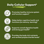 Vitapia Pure Fucoidan 85% Brown Seaweed Extract for Immune, Strong Cellular Health, Digestive Support - 1000mg Fucoidan Per Serving - 120 Veggie Capsules Non-GMO, Gluten-Free, Vegan-Friendly