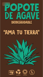 200 Pack Agave Fiber Straws Bio Preferred, Eco-friendly Alternative to Plastic & Paper Straws, Plant Based