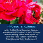 BioAdvanced All-In-One Rose and Flower Care Fertilizer, Concentrate, 64 oz, Rose Fertilizer and Disease Control