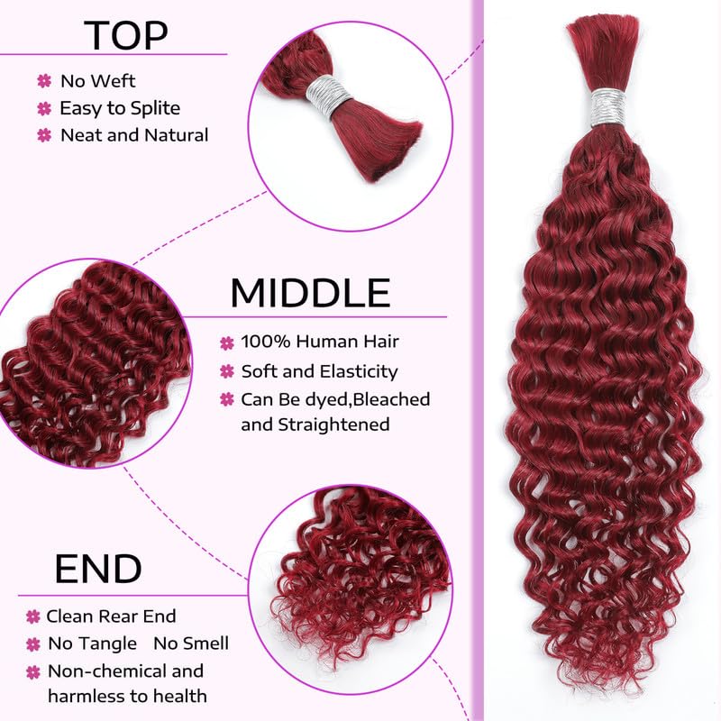 Human Braiding Hair 22inch Water Wave for Braiding Wet and Wavy Micro Braiding Human Hair No Weft Human Braiding Hair Extensions for Box Boho Braids 100g With 2Bundles（22inch,99J#)