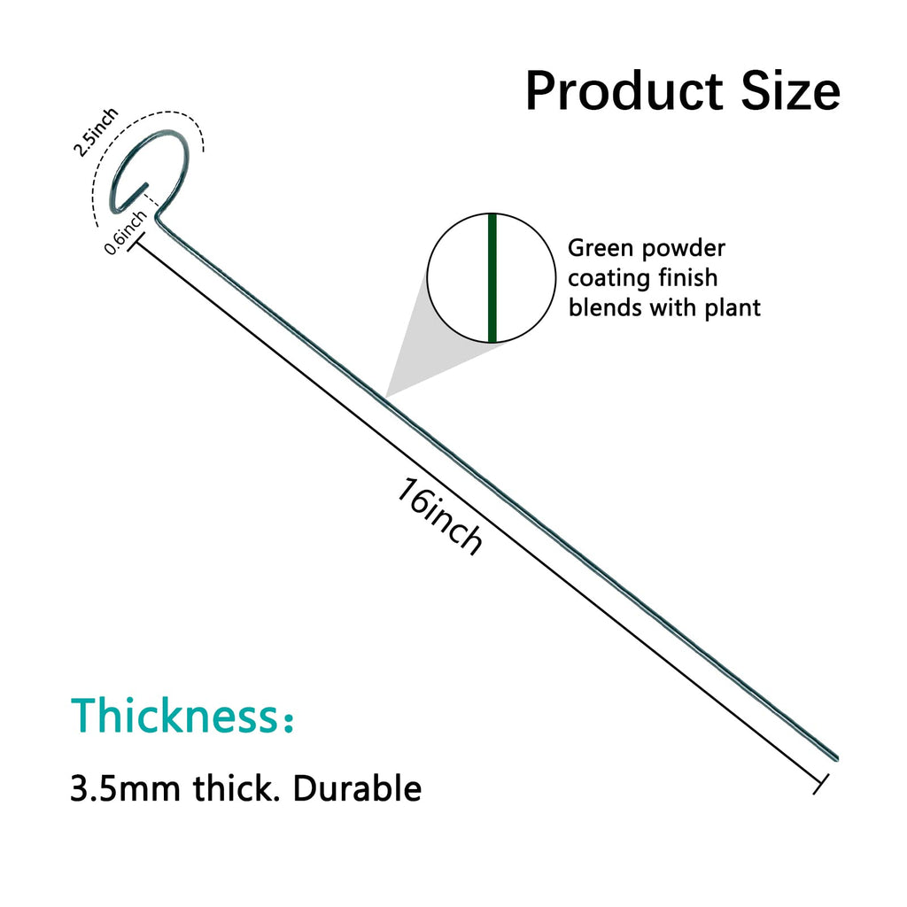 Thealyn 20 Pack 16 Inch Plant Support Stakes, Metal Single stemmed Flower Support Hoops，Garden Plant Stakes Plant Prop for Amaryllis Orchid Lily Rose Peony Tomatoes Gladiolus