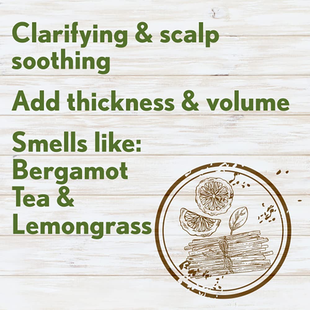 Aveeno Fresh Greens Shampoo + Conditioner with Rosemary, Peppermint & Cucumber for Strengthening & Nourish, Clarifying & Volumising Shampoo for Thin or Fine Hair, Paraben-Free, 12 ml