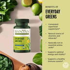 Banyan Botanicals Organic Everyday Greens – Concentrated Superfood Tablets – Spirulina, Wheat Grass & Alfalfa for Cellular Vitality & Antioxidant Support – 90 Tablets – USDA Organic