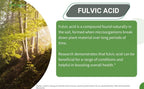 Fulvic Acid 72 + Trace Minerals | Fulvic Humic Acid | Digestion | Hydration | Keto, Dietary Supplement Drop| Energy | pH Balance | 2-Month Supply | The Healthy Life 4 ME