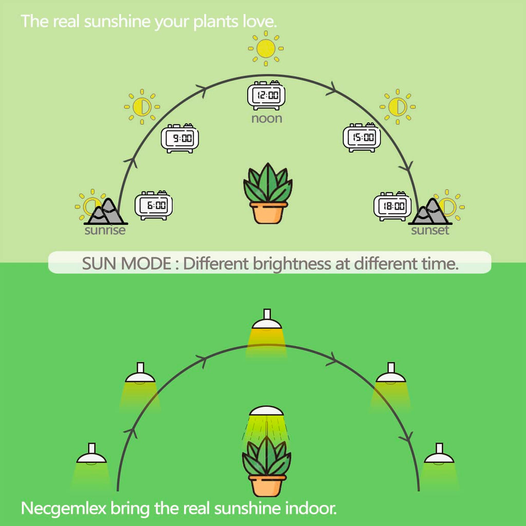Smart Grow Light Bulbs for Indoor Plants, Programmable Timer and Dim