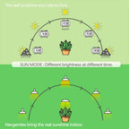 Smart Grow Light Bulbs for Indoor Plants, Programmable Timer and Dim