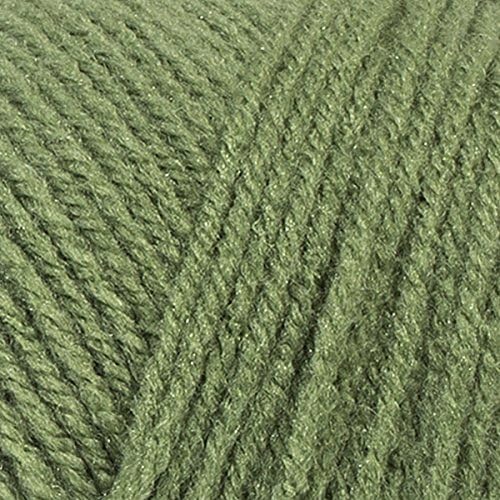 Red Heart Super Saver Tea Leaf E300-624 (3-Skeins - Same Dye Lot) Worsted Medium #4 Acrylic Yarn for Crocheting and Knitting with Project Bag