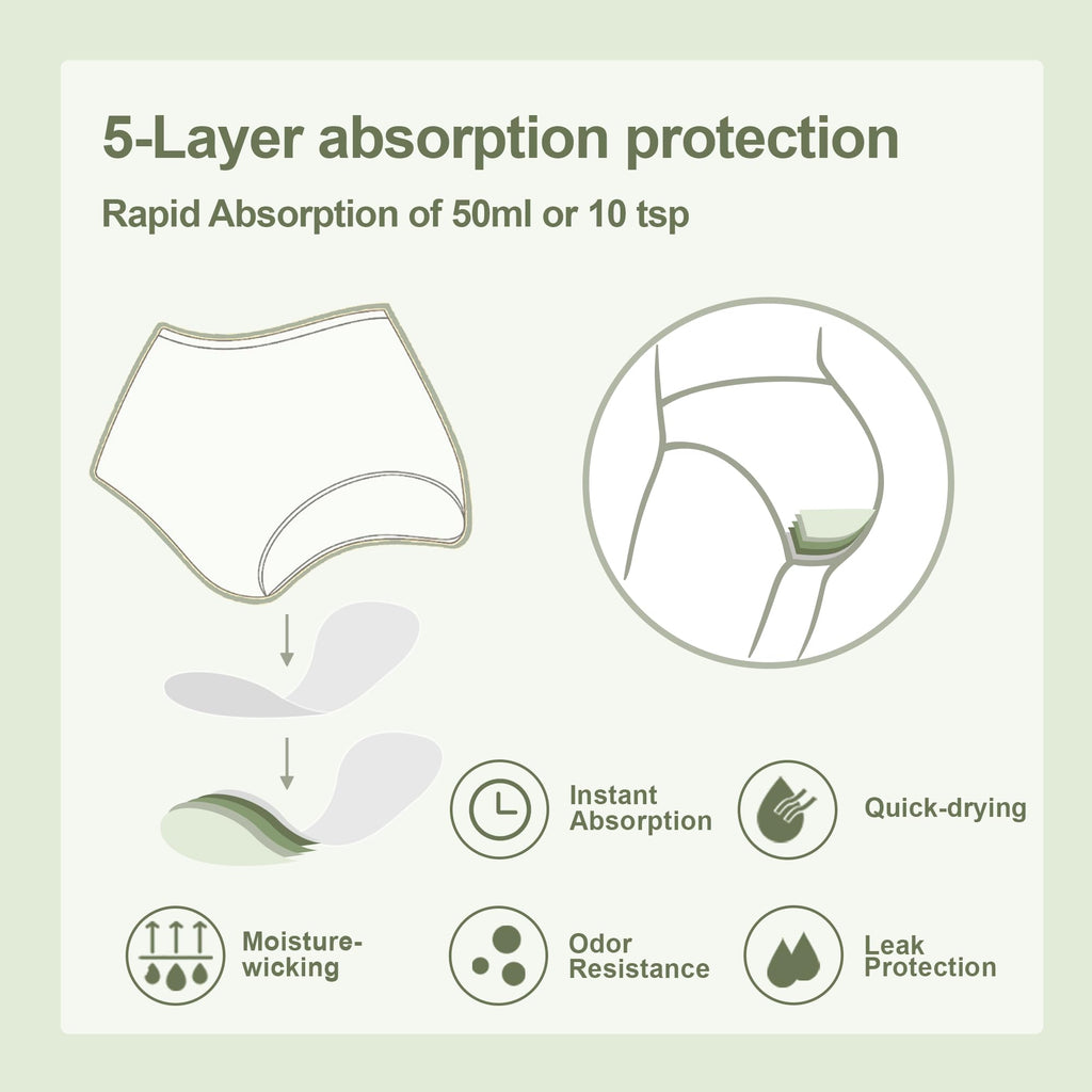 BATTEWA Washable Absorbency Incontinence Regular Underwear for Women, Reusable Leak Proof Protection Panties for Bladder Leakage(5Color, Large, 5 Pack)