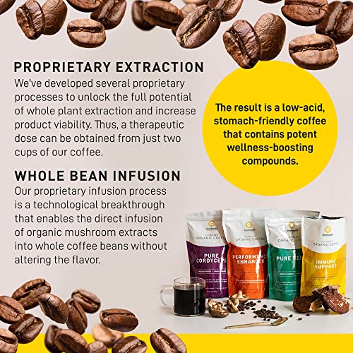 Enerhealth Botanicals NutriCafé Pure Cordyceps – Fairly Traded, Low Acid, Medium Roast Whole Arabica Bean Coffee, Infused with Organic Mushroom Extracts to Increase Vitality, Stamina, & Energy – 12 oz