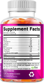 Vitamatic Prebiotic Fiber Gummies for Adults – 2 Pack (Total 120 Gummies) 7g Fiber per Serving | Extra Strength | Zero Sugar Added | Pectin-Based | Digestive Health & Regularity Support