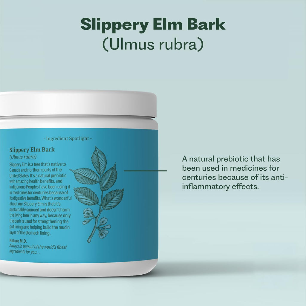 GutConnect 365 Gut Health Superfood Powder | Formulated With Slippery Elm Bark & L Glutamine | Vegan Certified | Allergen Free | Non-GMO | Soy Free | Made in the USA | 30 Servings – Vanilla Cinnamon